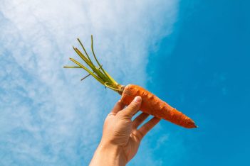 No es zanahoria: los 3 alimentos que debes comer para tener una visión 10/10