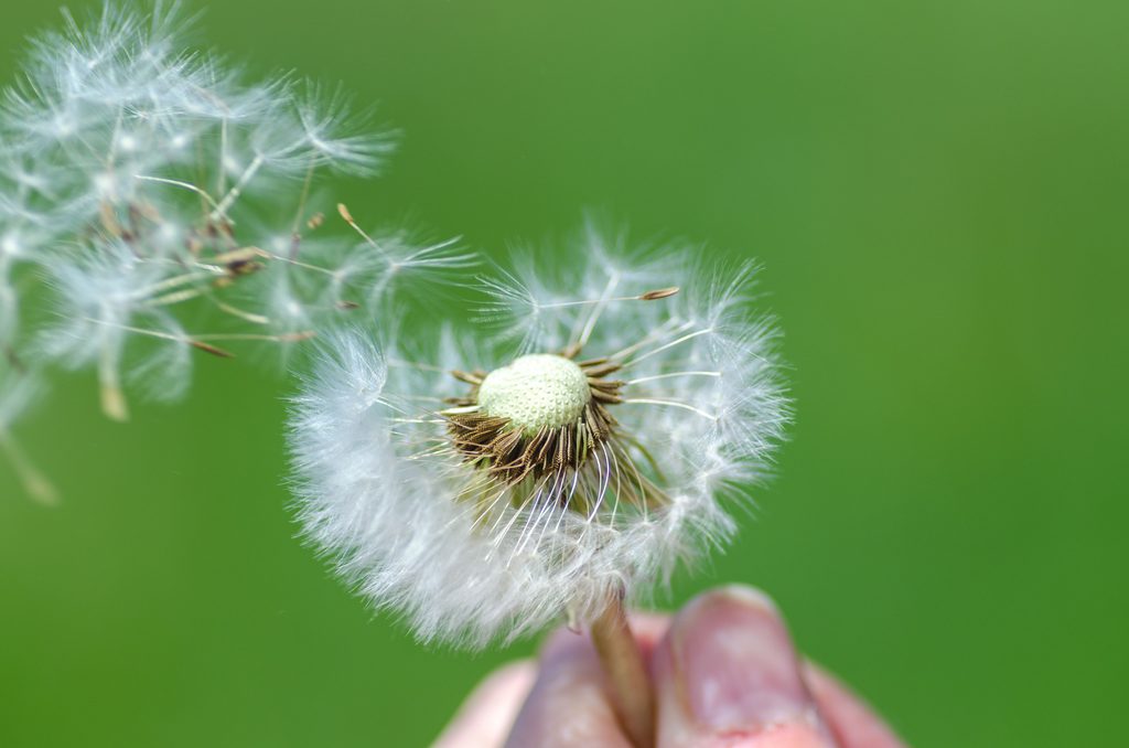 Alergias oculares en primavera: cómo reconocerlas y cuidarte