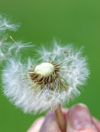 Alergias oculares en primavera: cómo reconocerlas y cuidarte