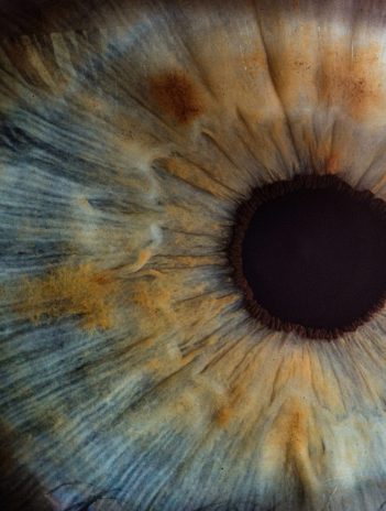 El potente alimento con vitamina E que mejora la visión y ayuda a prevenir las cataratas