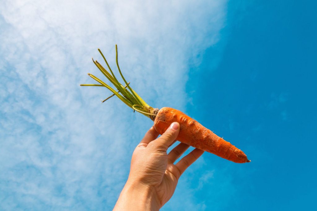 No es zanahoria: los 3 alimentos que debes comer para tener una visión 10/10