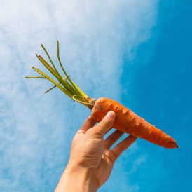 No es zanahoria: los 3 alimentos que debes comer para tener una visión 10/10