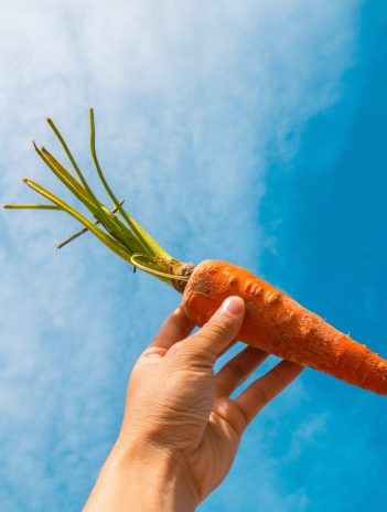 No es zanahoria: los 3 alimentos que debes comer para tener una visión 10/10