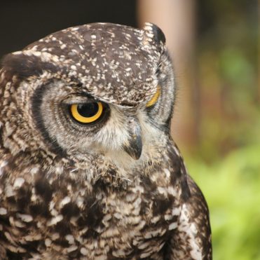 10 hábitos sanos para que nuestra vista no empeore con la edad