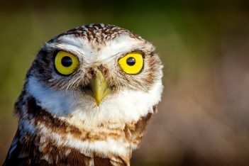Cómo afecta a los lentes de contacto el calor o el frío