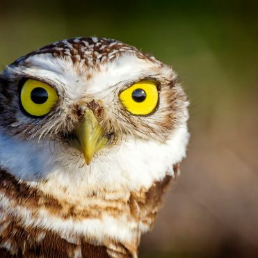 Cómo afecta a los lentes de contacto el calor o el frío
