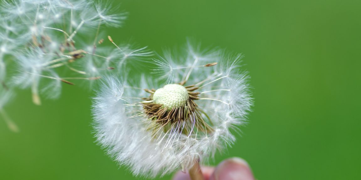 Alergias oculares en primavera: cómo reconocerlas y cuidarte
