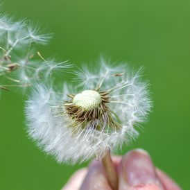 Alergias oculares en primavera: cómo reconocerlas y cuidarte