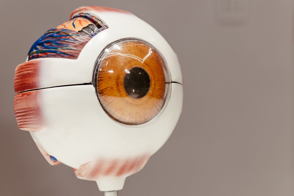 Diabetes y visión: qué es la retinopatía diabética y cómo detectarla a tiempo